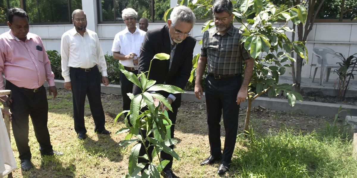 Diamond Jubilee of Pakistan, tree plantation campaign started at UET